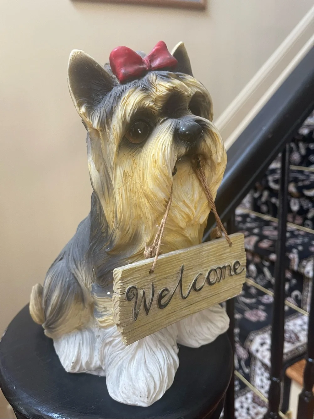 N/A yorkie dog